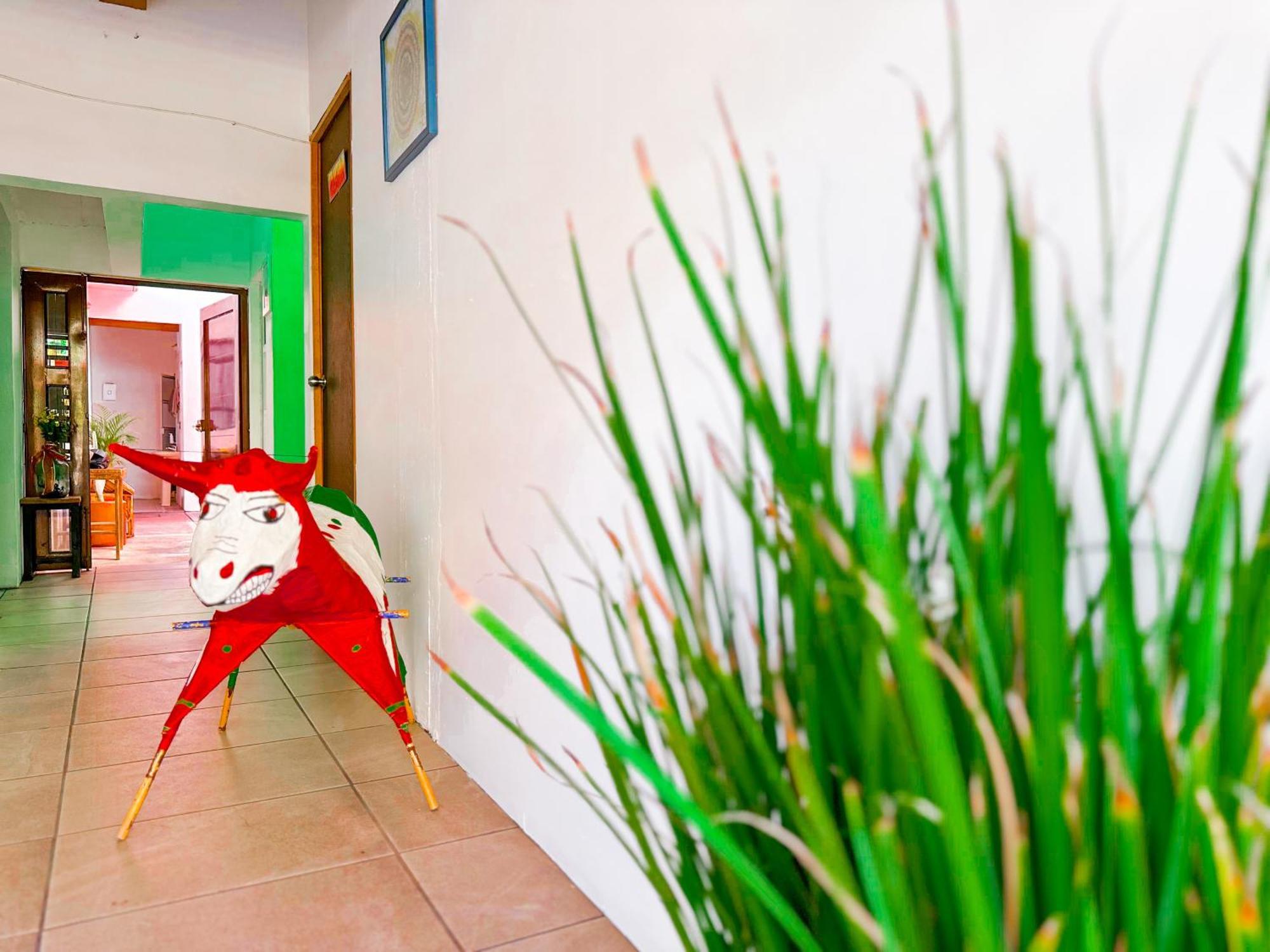 Habitacionez Hvuz Oaxaca ภายนอก รูปภาพ
