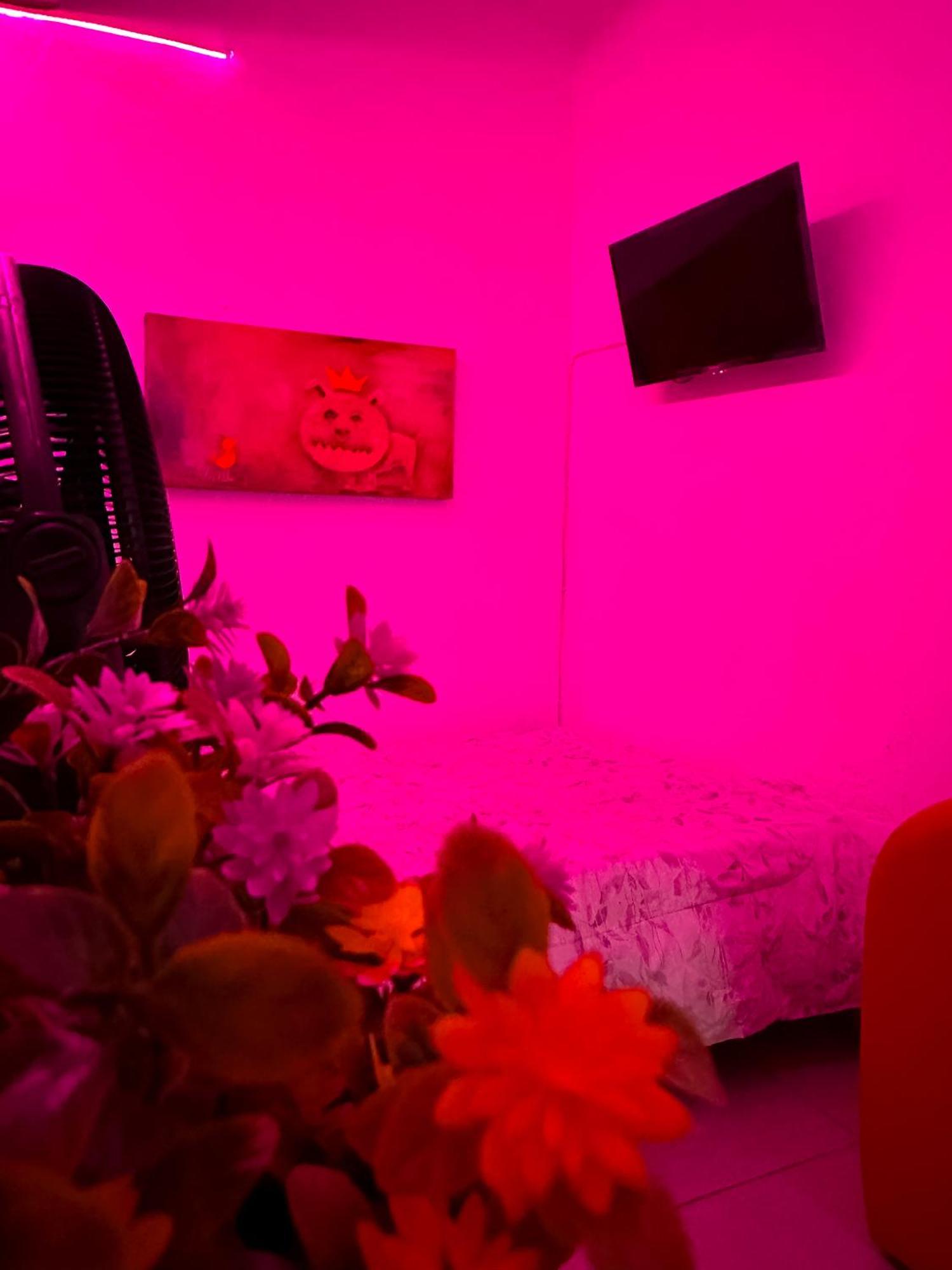 Habitacionez Hvuz Oaxaca ภายนอก รูปภาพ